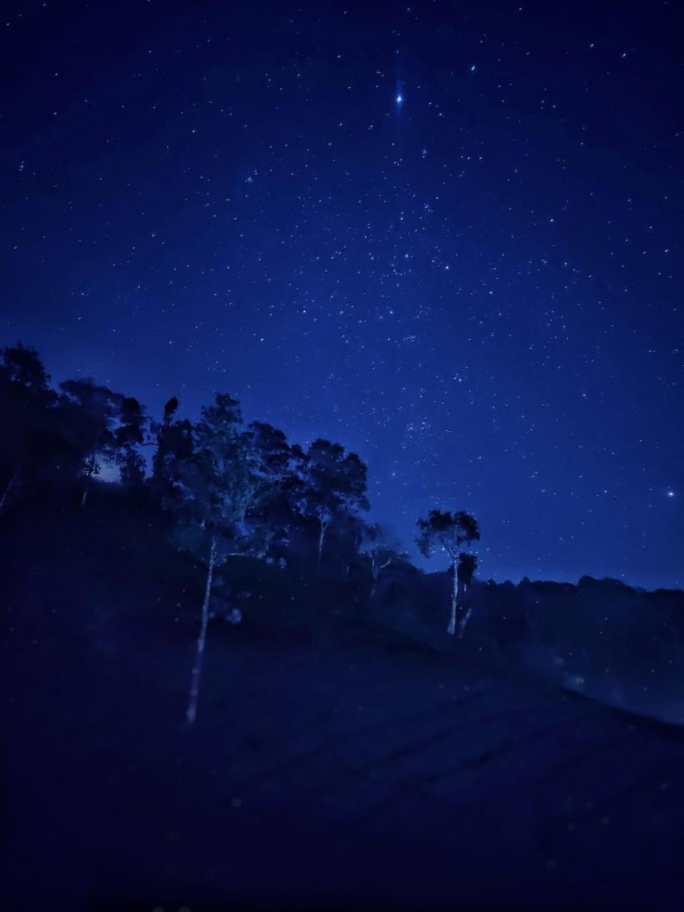 Janiro Tea Trees Villas فيثيري المظهر الخارجي الصورة