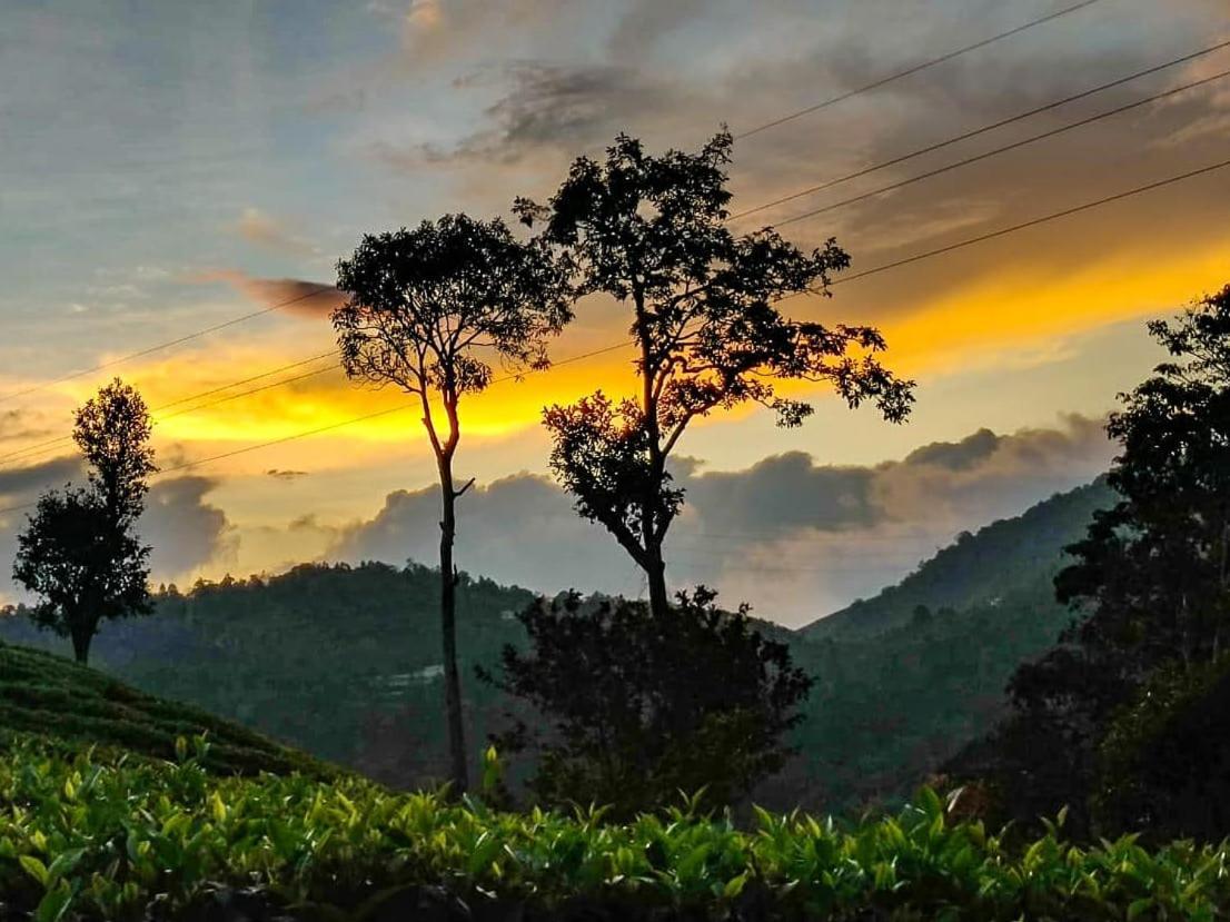 Janiro Tea Trees Villas فيثيري المظهر الخارجي الصورة