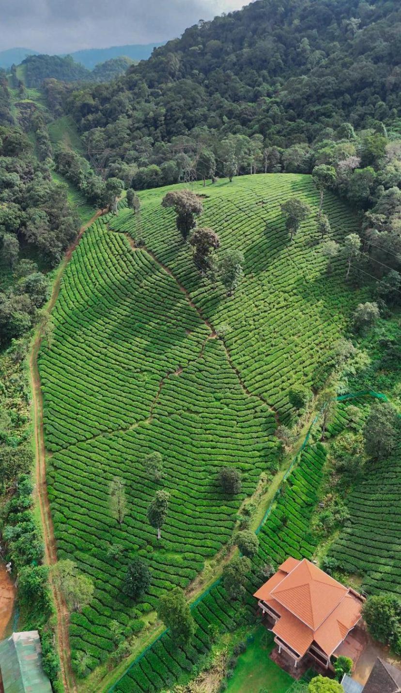 Janiro Tea Trees Villas فيثيري المظهر الخارجي الصورة