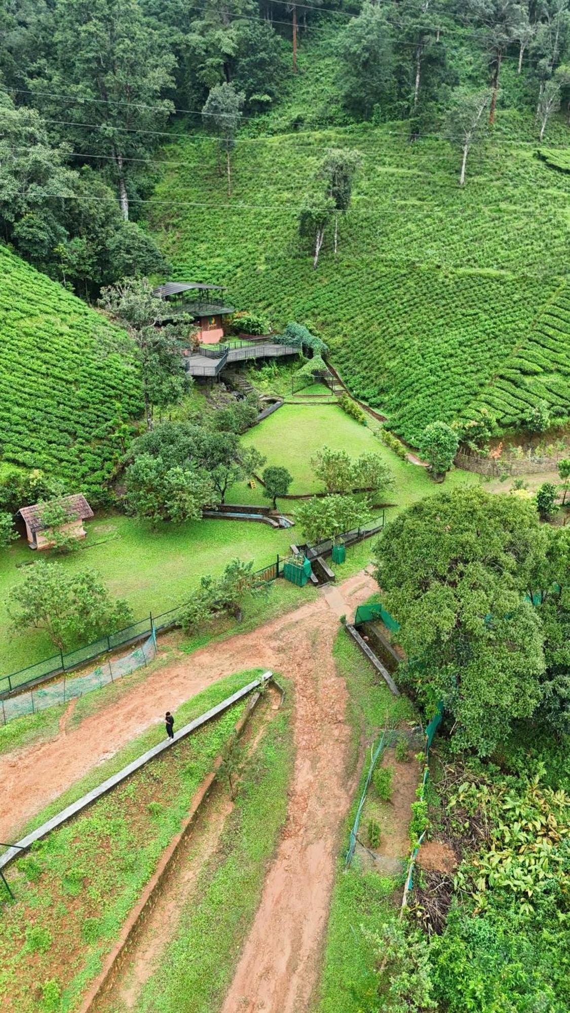 Janiro Tea Trees Villas فيثيري المظهر الخارجي الصورة