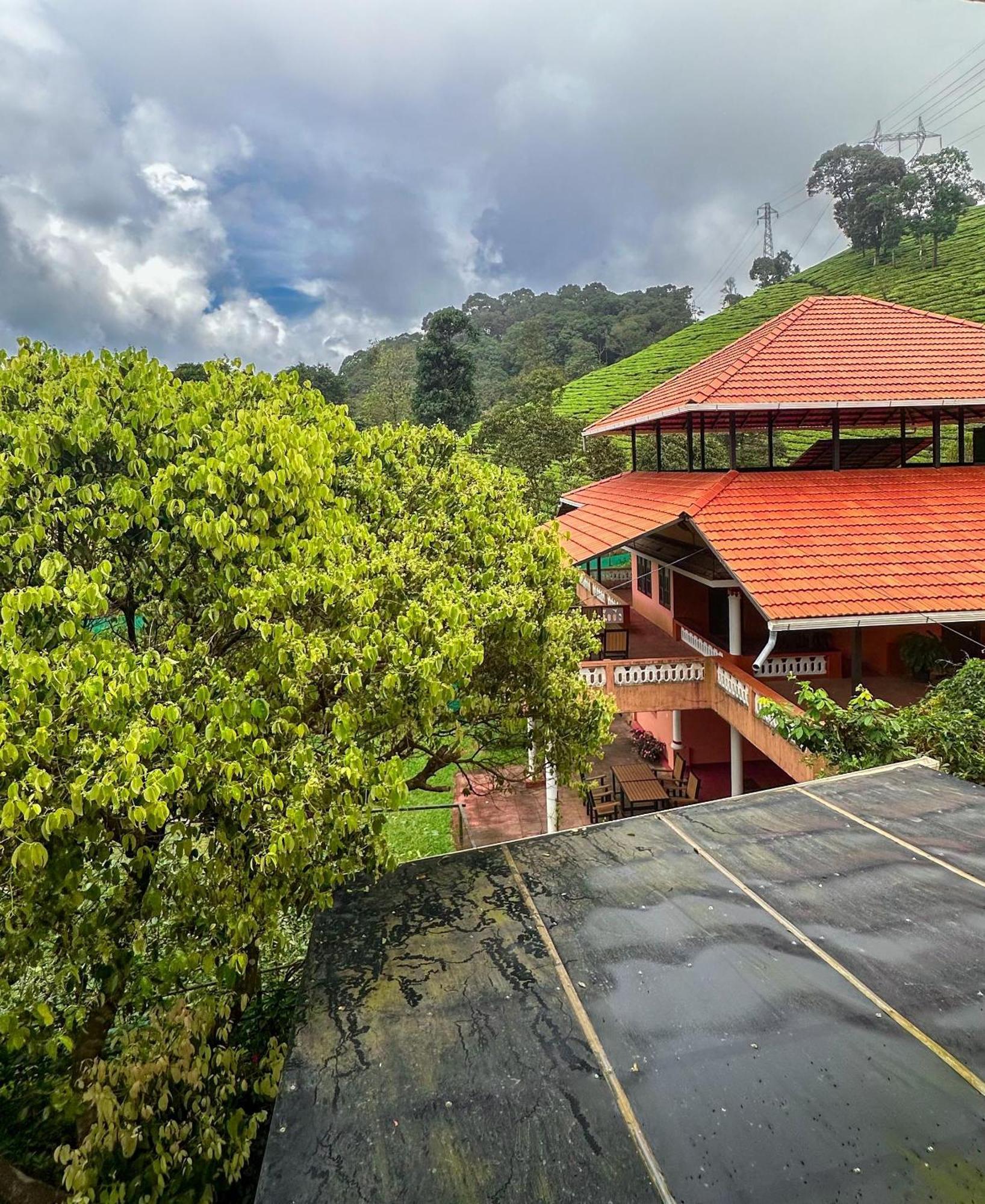 Janiro Tea Trees Villas فيثيري المظهر الخارجي الصورة