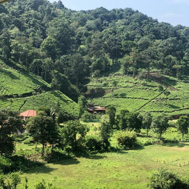 Janiro Tea Trees Villas فيثيري المظهر الخارجي الصورة