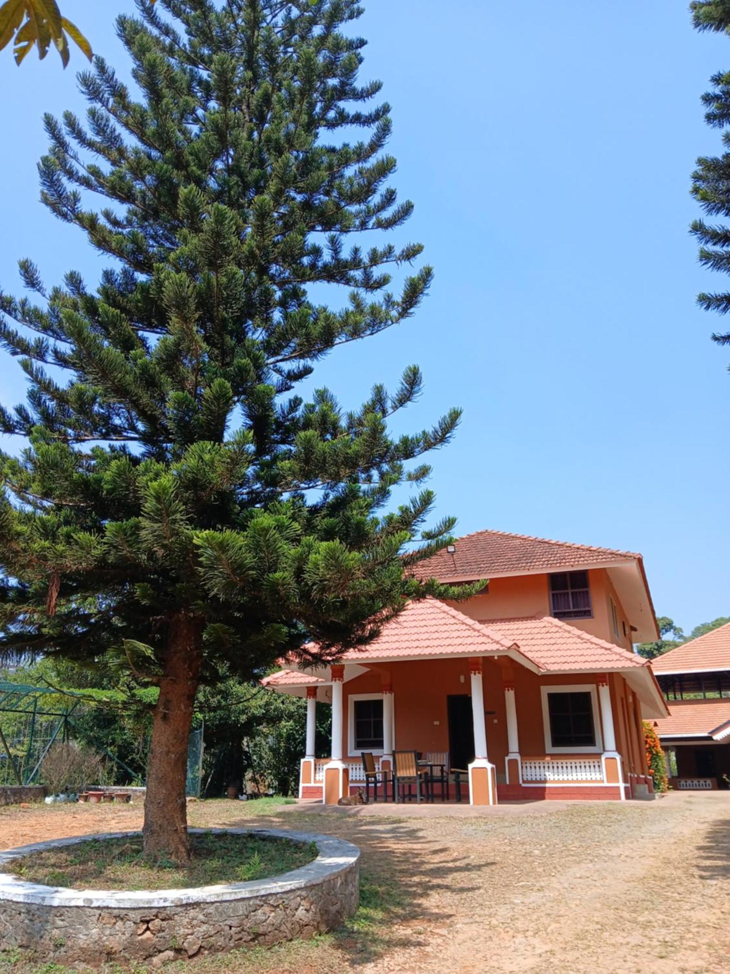 Janiro Tea Trees Villas فيثيري المظهر الخارجي الصورة